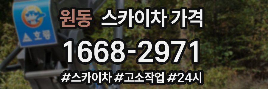 원동 스카이차 가격