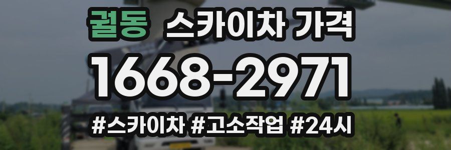 궐동 스카이차 가격