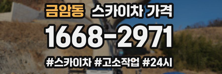 금암동 스카이차 가격