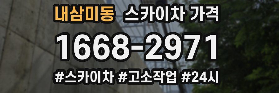 내삼미동 스카이차 가격