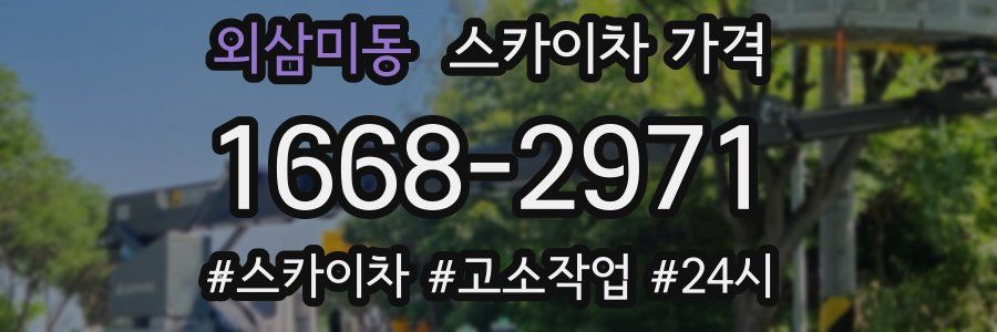 외삼미동 스카이차 가격