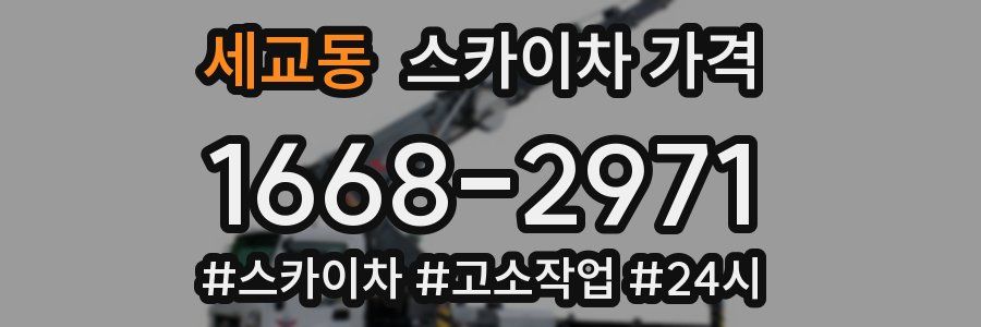 세교동 스카이차 가격