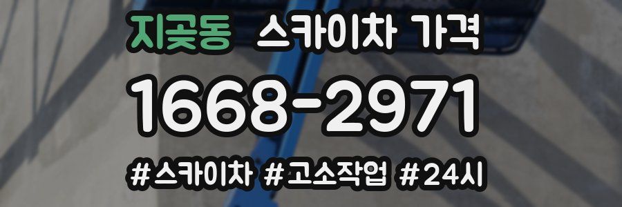 지곶동 스카이차 가격