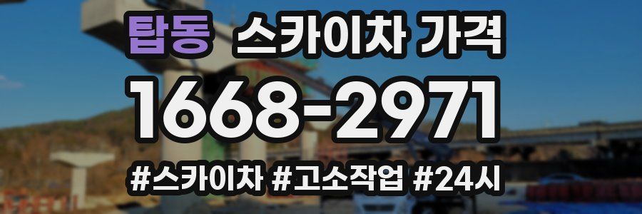 탑동 스카이차 가격