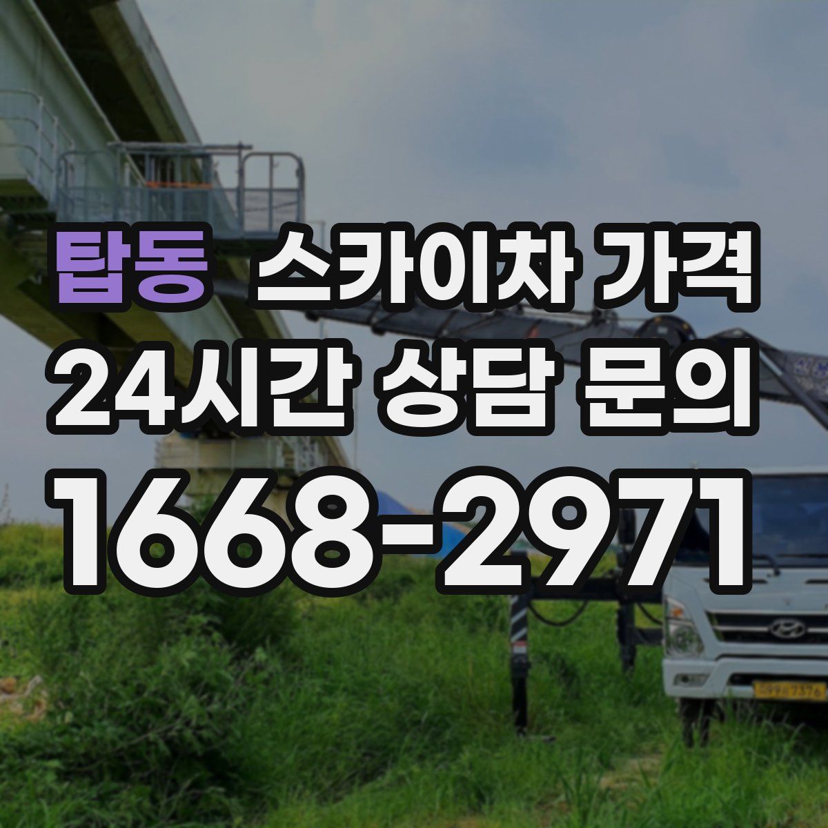 탑동 스카이차 가격