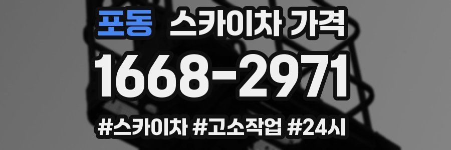 포동 스카이차 가격