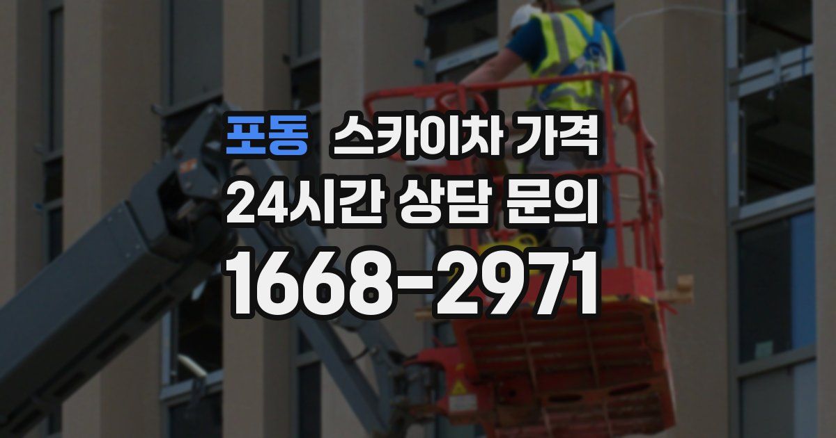 포동 스카이차 가격