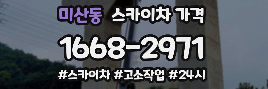 미산동 스카이차 가격