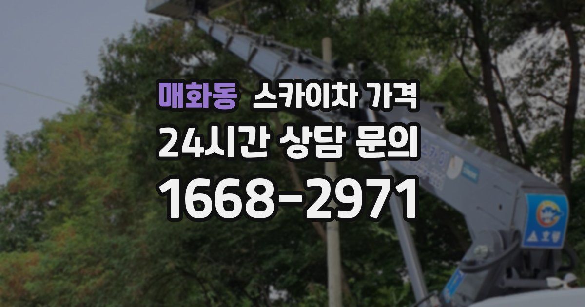 매화동 스카이차 가격