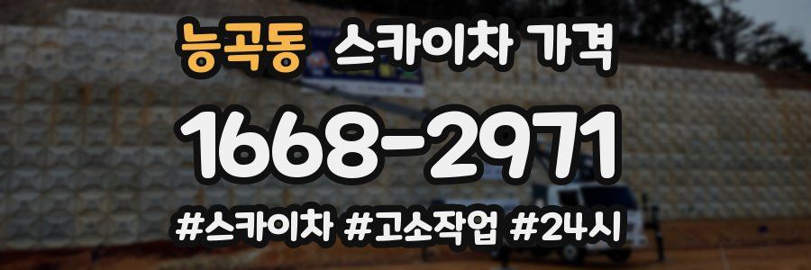 능곡동 스카이차 가격