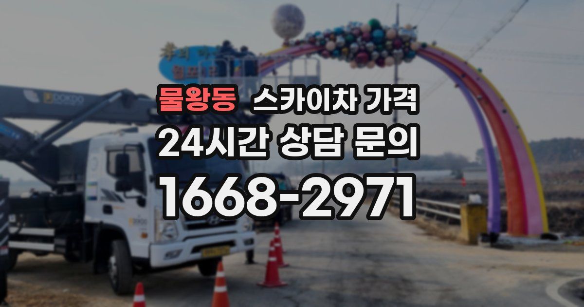 물왕동 스카이차 가격