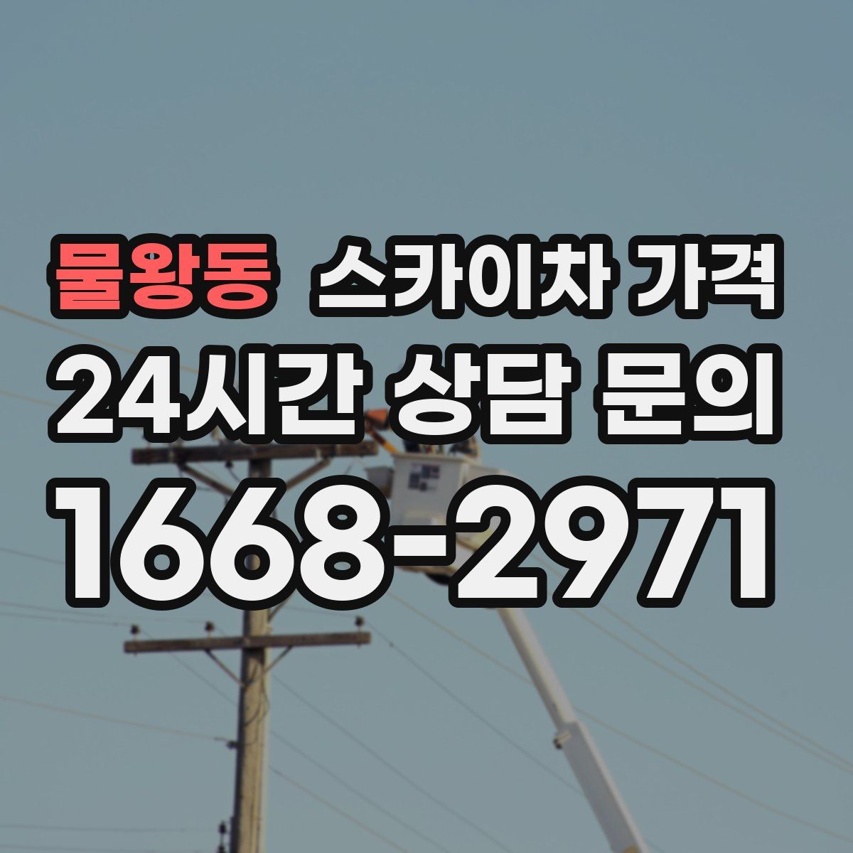 물왕동 스카이차 가격