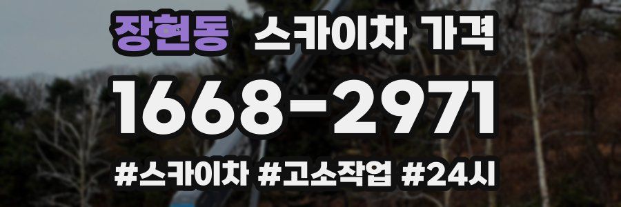 장현동 스카이차 가격