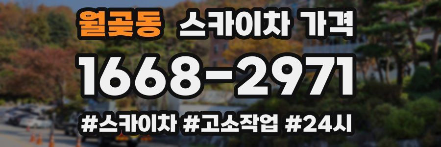 월곶동 스카이차 가격