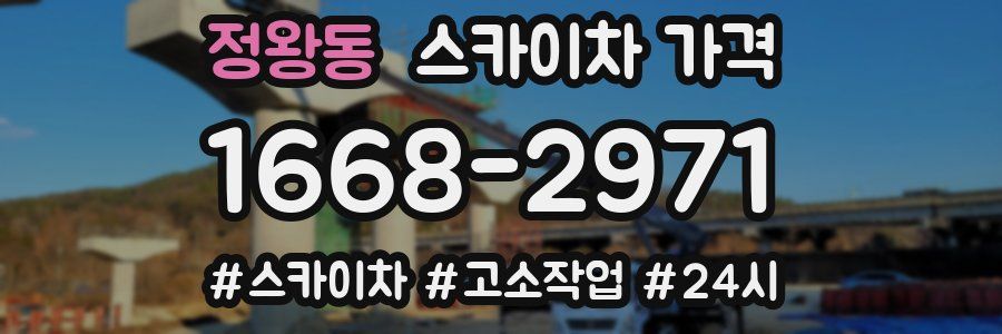 정왕동 스카이차 가격