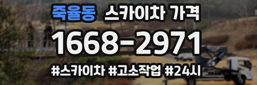 죽율동 스카이차 가격