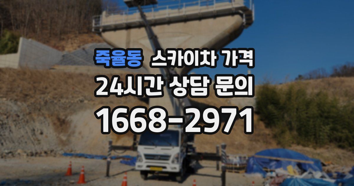 죽율동 스카이차 가격