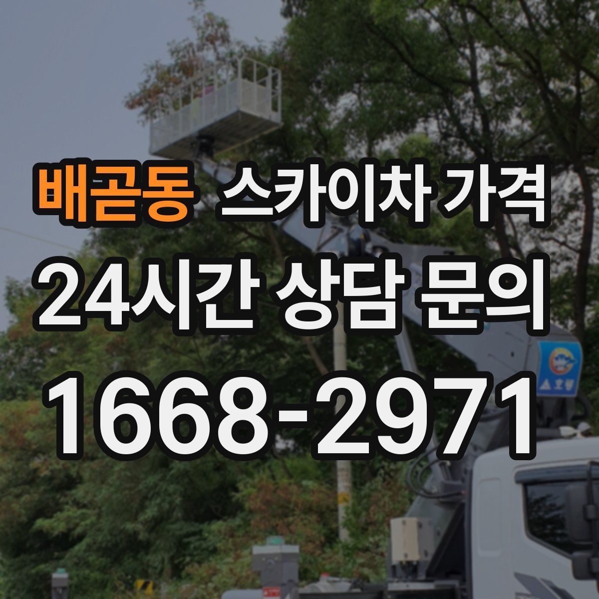 배곧동 스카이차 가격