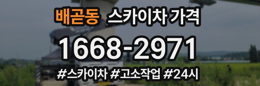 배곧동 스카이차 가격