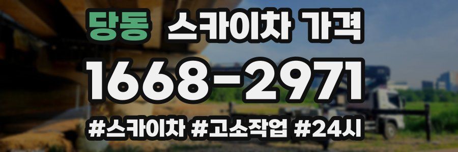 당동 스카이차 가격