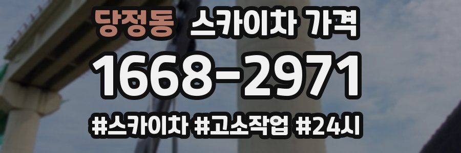 당정동 스카이차 가격