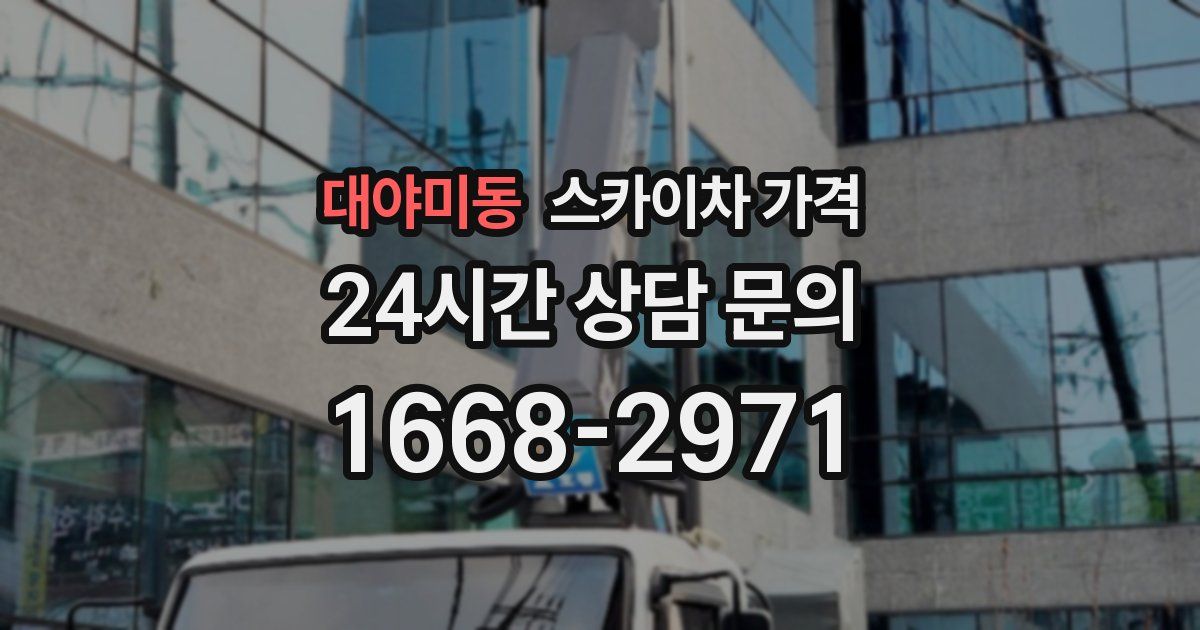 대야미동 스카이차 가격