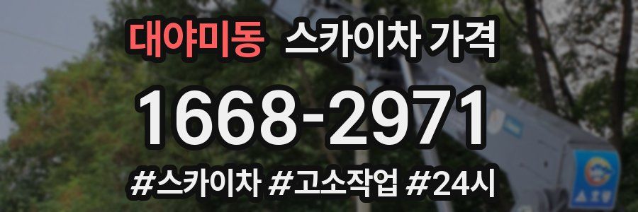 대야미동 스카이차 가격