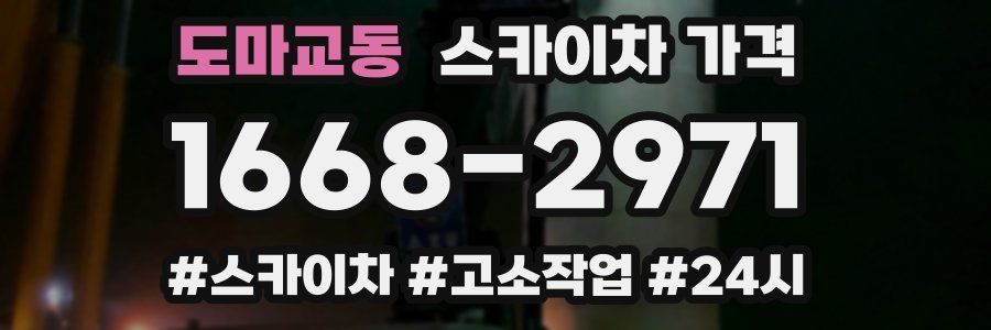 도마교동 스카이차 가격