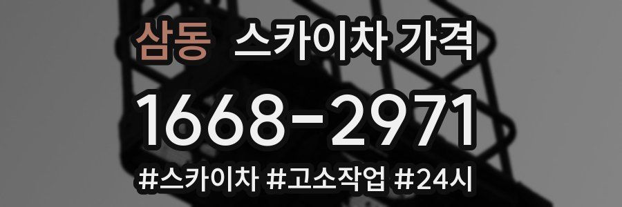 삼동 스카이차 가격