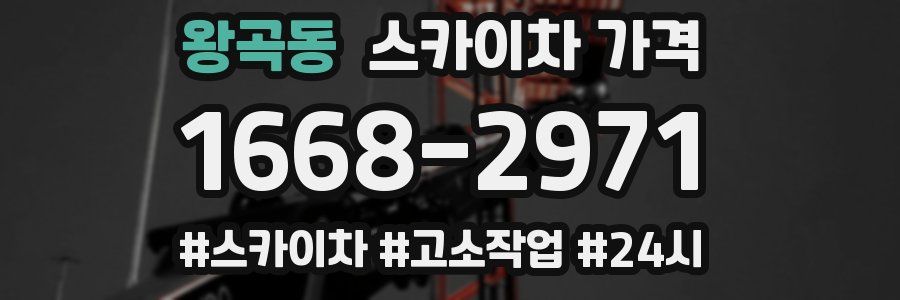 왕곡동 스카이차 가격