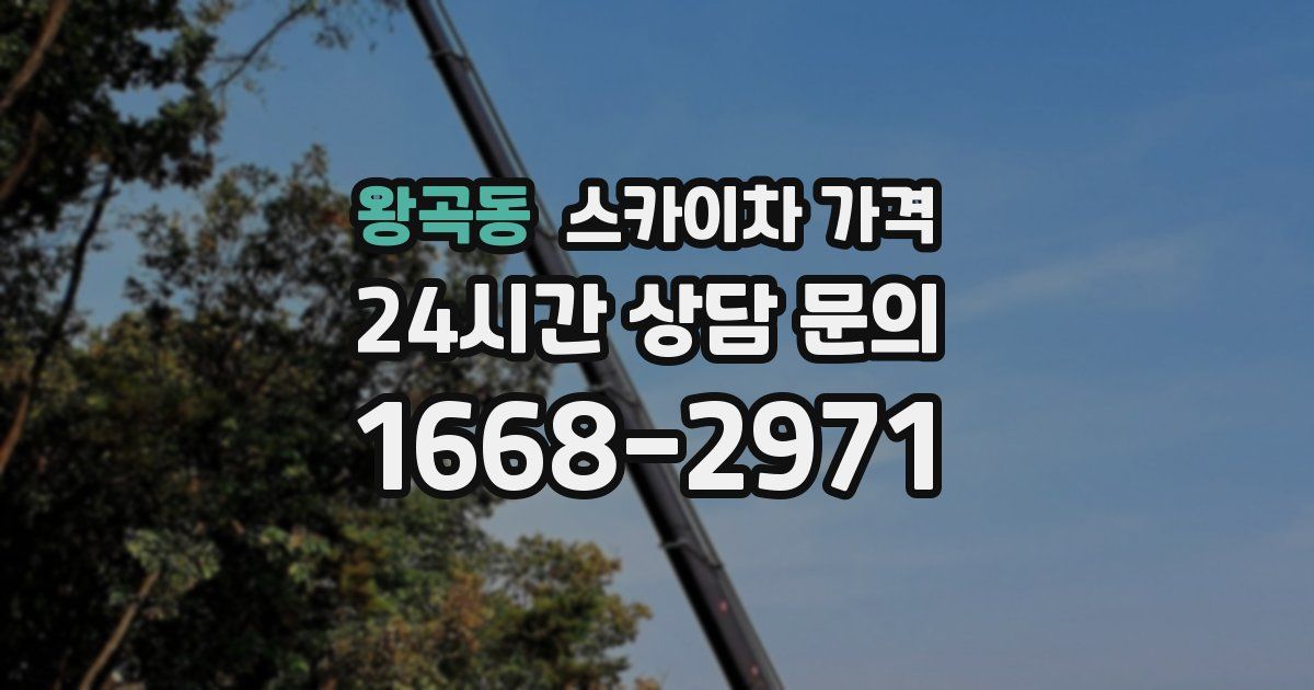 왕곡동 스카이차 가격