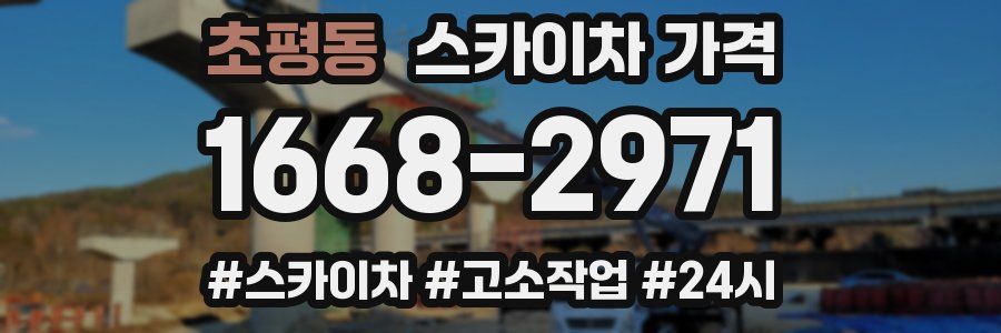 초평동 스카이차 가격