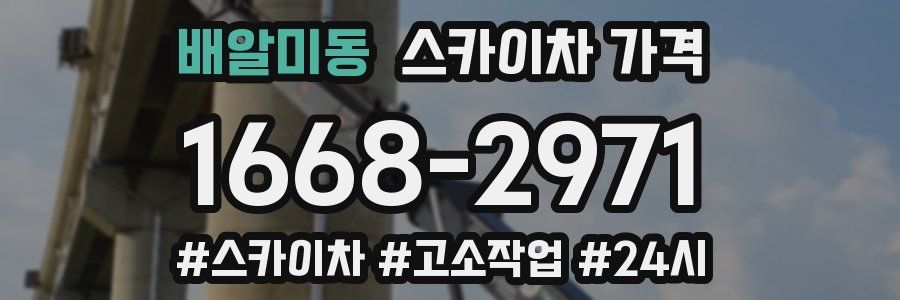 배알미동 스카이차 가격