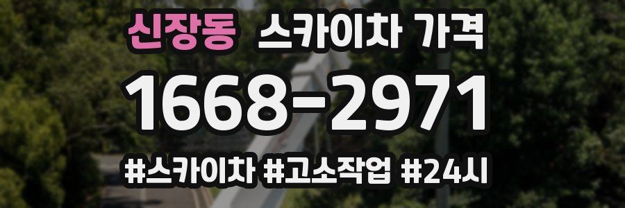 신장동 스카이차 가격