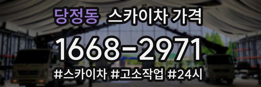 당정동 스카이차 가격