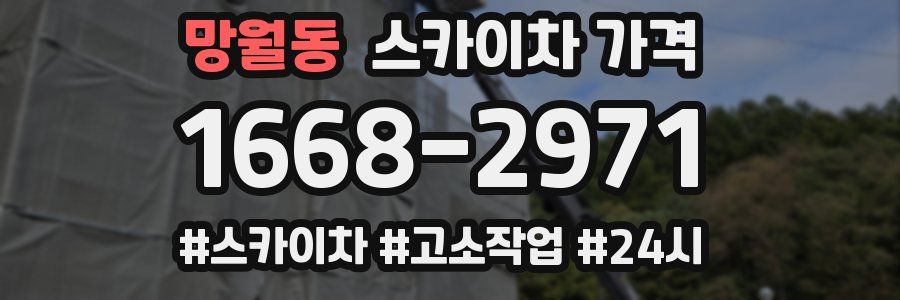 망월동 스카이차 가격