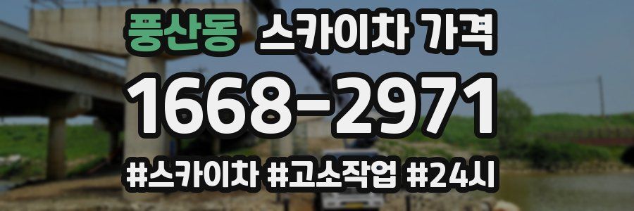 풍산동 스카이차 가격