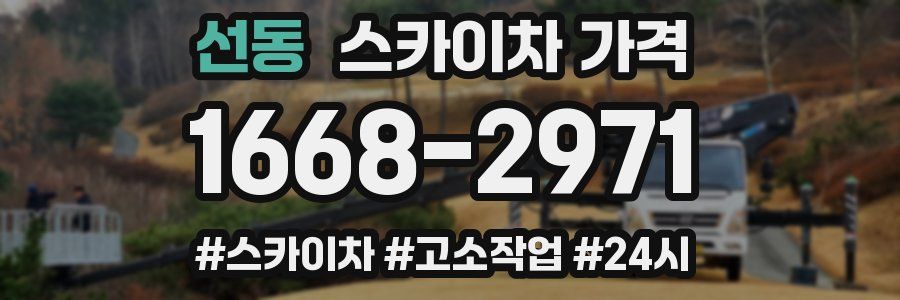 선동 스카이차 가격