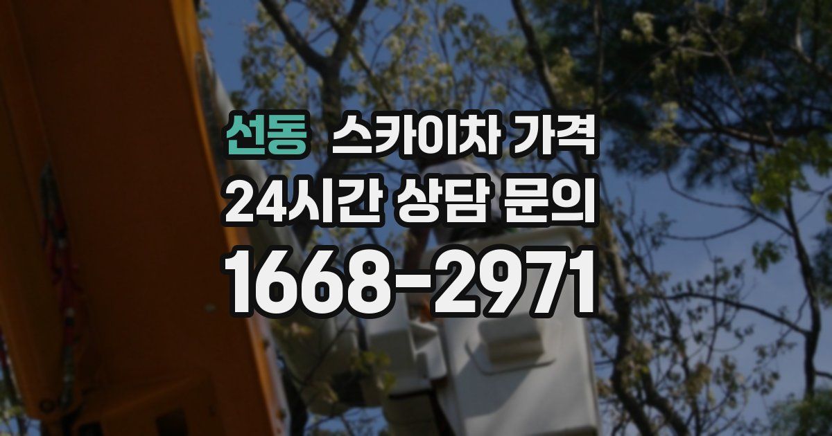 선동 스카이차 가격