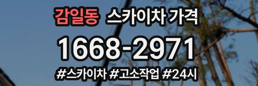 감일동 스카이차 가격