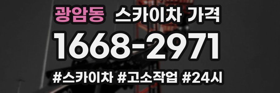 광암동 스카이차 가격