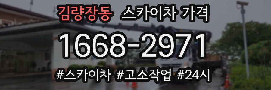 김량장동 스카이차 가격