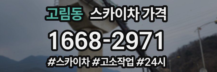고림동 스카이차 가격