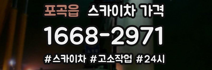 포곡읍 스카이차 가격