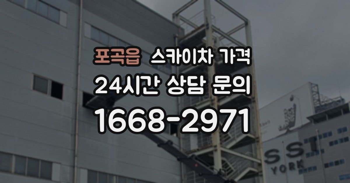 포곡읍 스카이차 가격