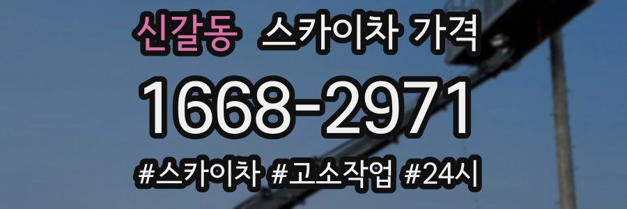 신갈동 스카이차 가격