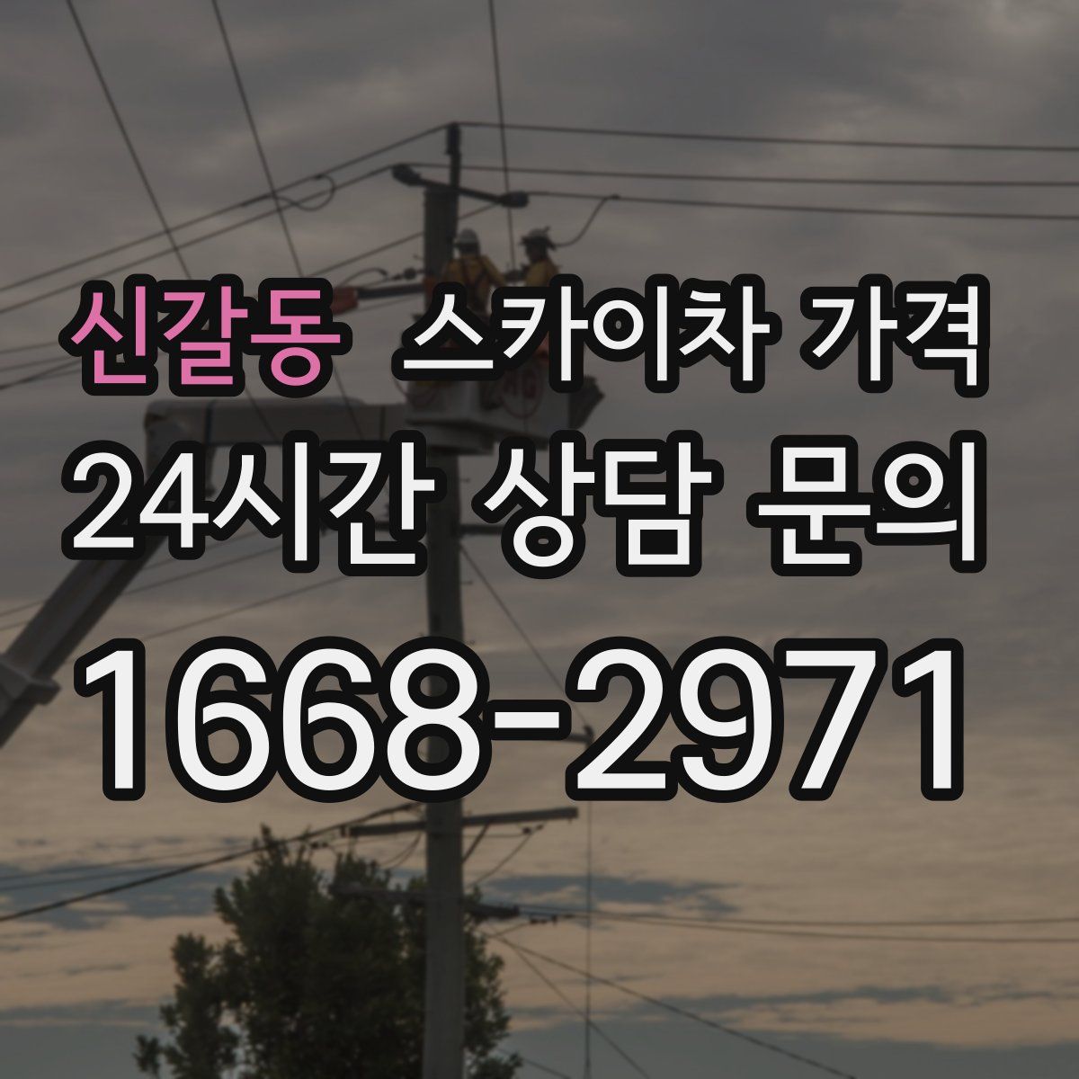 신갈동 스카이차 가격