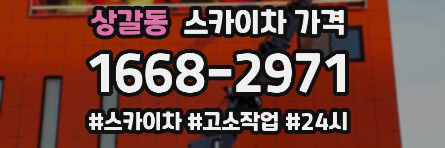 상갈동 스카이차 가격