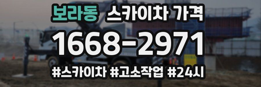 보라동 스카이차 가격