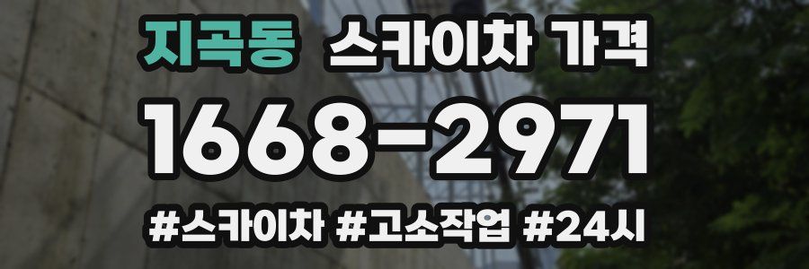 지곡동 스카이차 가격